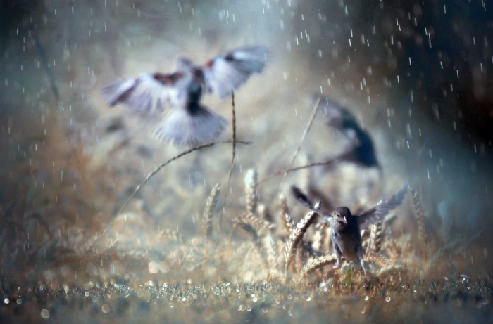 'Dancing in the rain' by Yasemin Kahraman